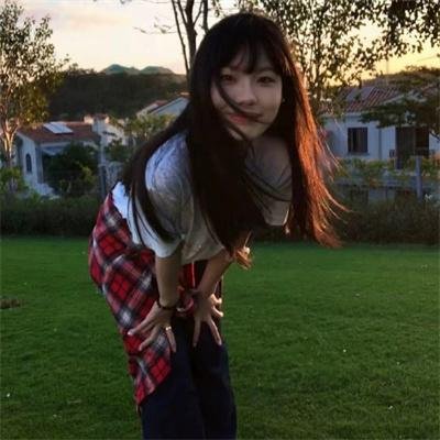 莫西干回到故乡
