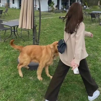 蒙庞西耶王妃